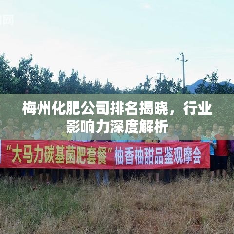 梅州化肥公司排名揭晓，行业影响力深度解析