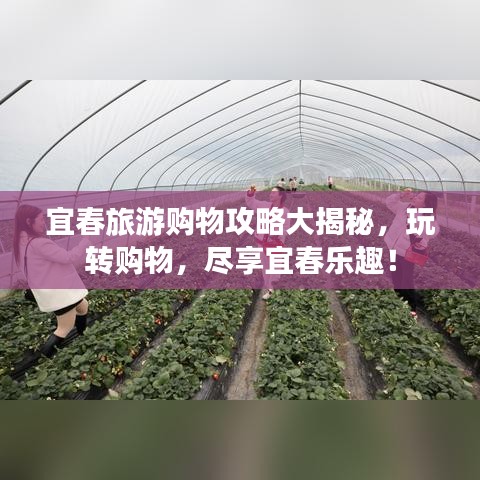 宜春旅游购物攻略大揭秘，玩转购物，尽享宜春乐趣！