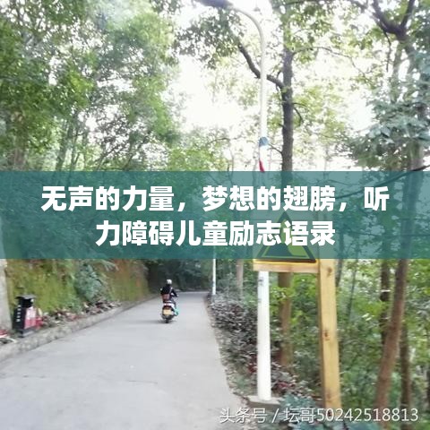 无声的力量，梦想的翅膀，听力障碍儿童励志语录
