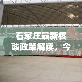 石家庄最新核酸政策解读，今日要点全解析