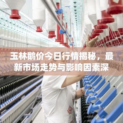 玉林鹅价今日行情揭秘，最新市场走势与影响因素深度解析