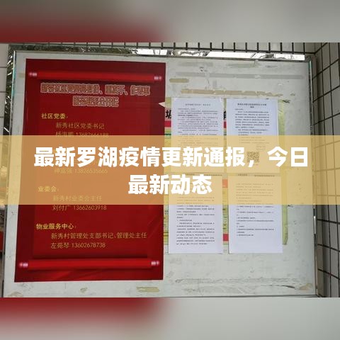 最新罗湖疫情更新通报，今日最新动态