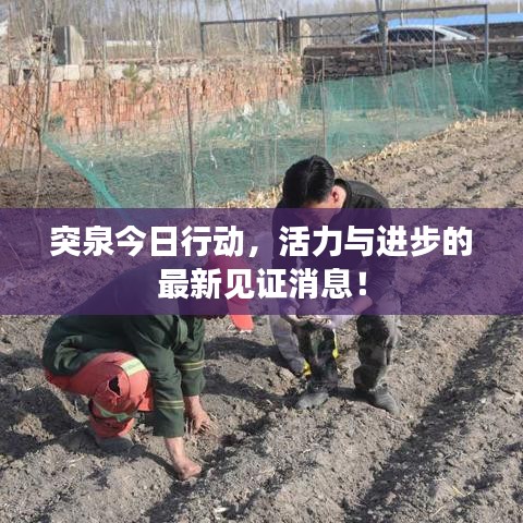 突泉今日行动，活力与进步的最新见证消息！