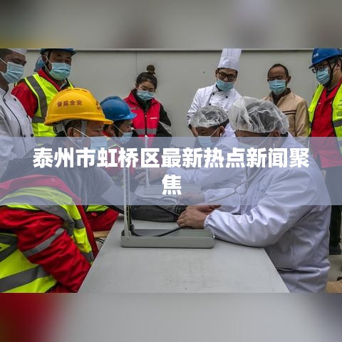 泰州市虹桥区最新热点新闻聚焦