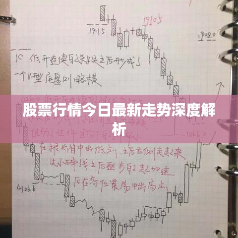 股票行情今日最新走势深度解析