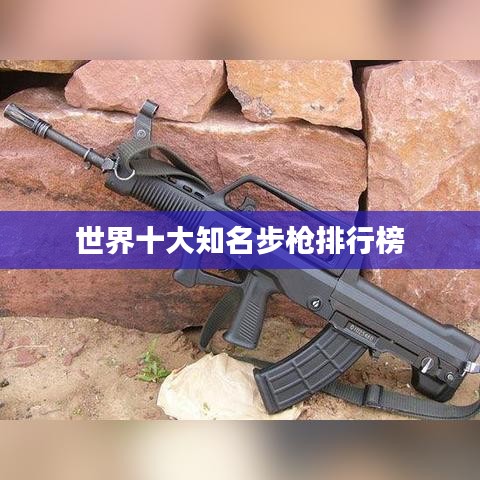 世界十大知名步枪排行榜