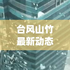 台风山竹最新动态，全面解读与应对建议