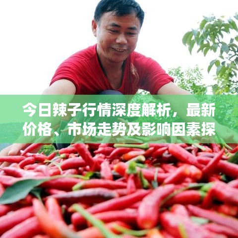 今日辣子行情深度解析，最新价格、市场走势及影响因素探讨