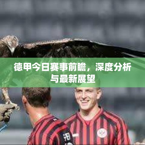 德甲今日赛事前瞻，深度分析与最新展望