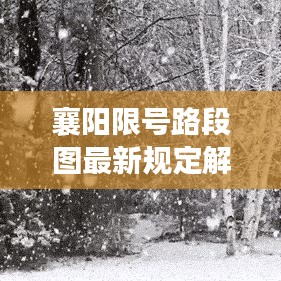 襄阳限号路段图最新规定解析及其全面影响