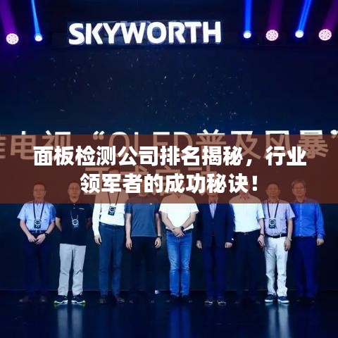 面板检测公司排名揭秘，行业领军者的成功秘诀！