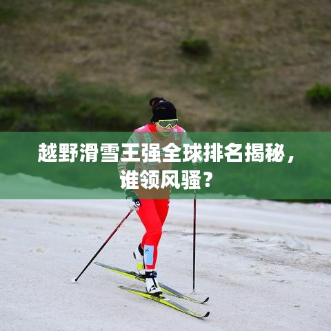 越野滑雪王强全球排名揭秘，谁领风骚？
