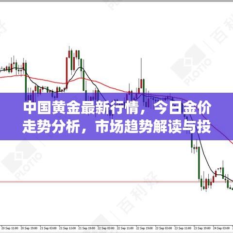 中国黄金最新行情，今日金价走势分析，市场趋势解读与投资指南