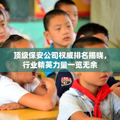顶级保安公司权威排名揭晓，行业精英力量一览无余