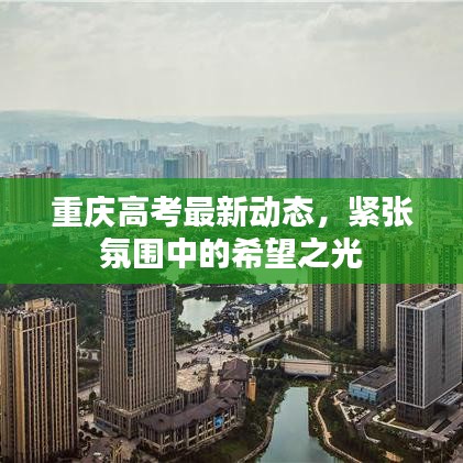 重庆高考最新动态，紧张氛围中的希望之光