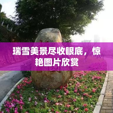 瑞雪美景尽收眼底，惊艳图片欣赏