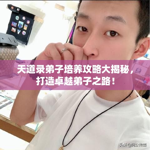 天道录弟子培养攻略大揭秘，打造卓越弟子之路！