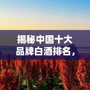 揭秘中国十大品牌白酒排名，千年酿酒工艺之精髓探寻