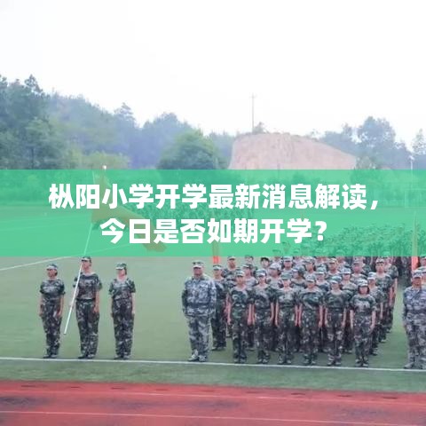 枞阳小学开学最新消息解读，今日是否如期开学？
