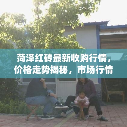 菏泽红砖最新收购行情，价格走势揭秘，市场行情与影响因素深度剖析
