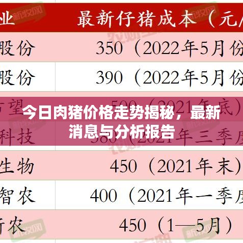 今日肉猪价格走势揭秘，最新消息与分析报告