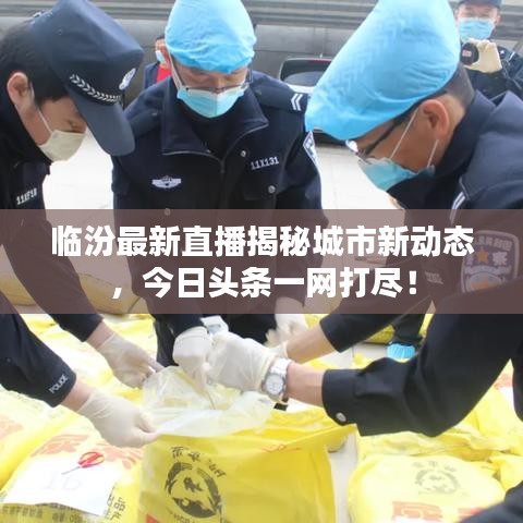临汾最新直播揭秘城市新动态，今日头条一网打尽！