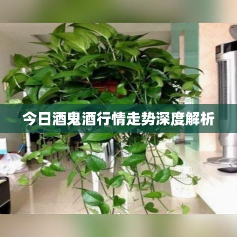 今日酒鬼酒行情走势深度解析