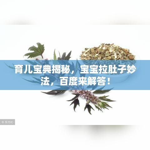 育儿宝典揭秘，宝宝拉肚子妙法，百度来解答！