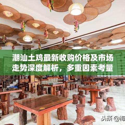 潮汕土鸡最新收购价格及市场走势深度解析，多重因素考量，趋势一目了然！
