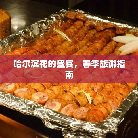 哈尔滨花的盛宴，春季旅游指南