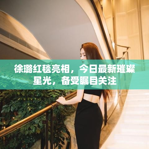 徐璐红毯亮相，今日最新璀璨星光，备受瞩目关注