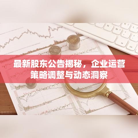 最新股东公告揭秘，企业运营策略调整与动态洞察