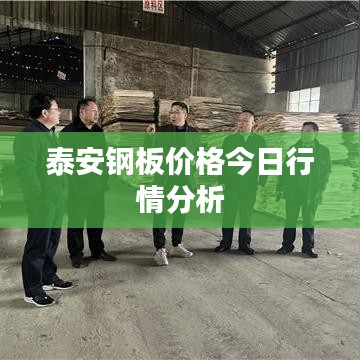 泰安钢板价格今日行情分析