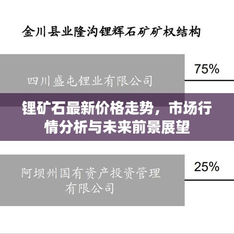 锂矿石最新价格走势，市场行情分析与未来前景展望