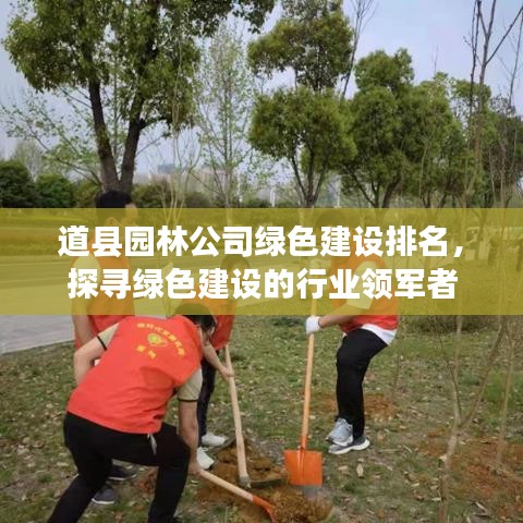 道县园林公司绿色建设排名，探寻绿色建设的行业领军者