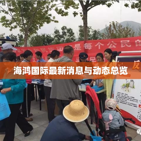 海鸿国际最新消息与动态总览