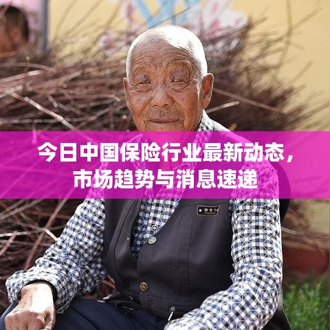 今日中国保险行业最新动态，市场趋势与消息速递