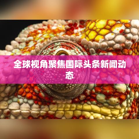 全球视角聚焦国际头条新闻动态