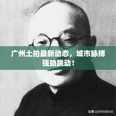 广州土拍最新动态，城市脉搏强劲跳动！