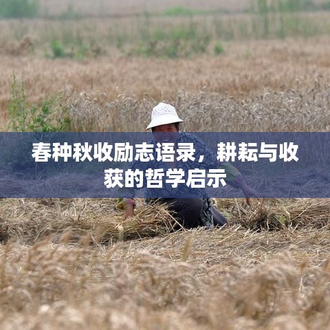 春种秋收励志语录，耕耘与收获的哲学启示
