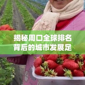 揭秘周口全球排名背后的城市发展足迹