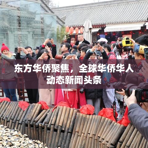 东方华侨聚焦，全球华侨华人动态新闻头条