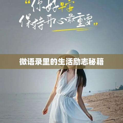微语录里的生活励志秘籍