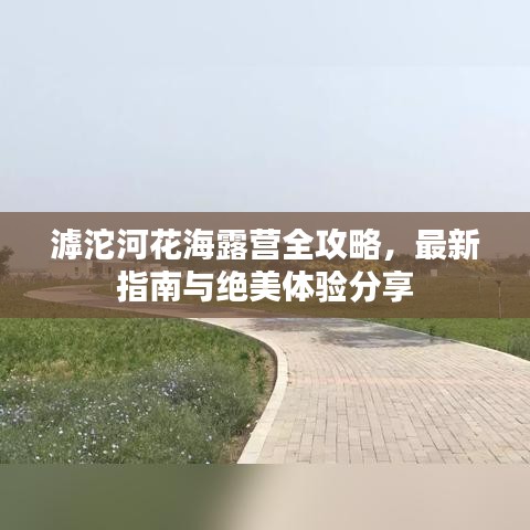 滹沱河花海露营全攻略，最新指南与绝美体验分享