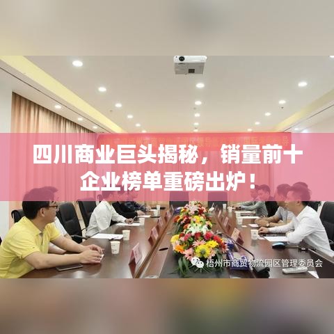 四川商业巨头揭秘，销量前十企业榜单重磅出炉！