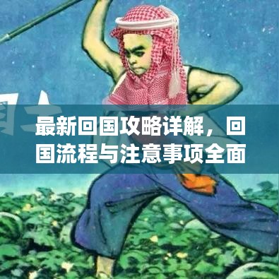 最新回国攻略详解，回国流程与注意事项全面解析