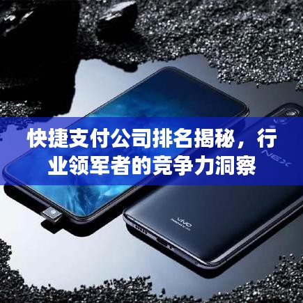 快捷支付公司排名揭秘，行业领军者的竞争力洞察