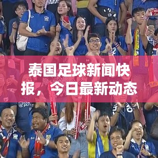 泰国足球新闻快报，今日最新动态与热点解析