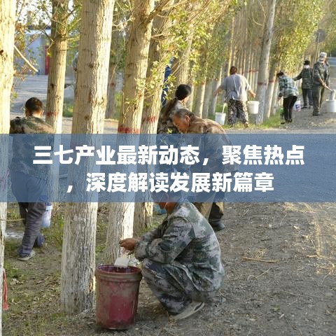 三七产业最新动态，聚焦热点，深度解读发展新篇章