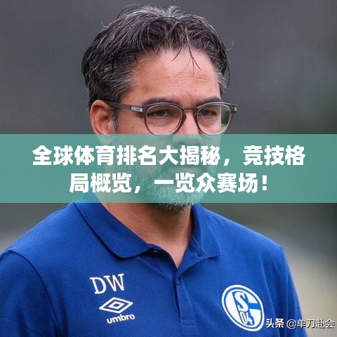 全球体育排名大揭秘，竞技格局概览，一览众赛场！
